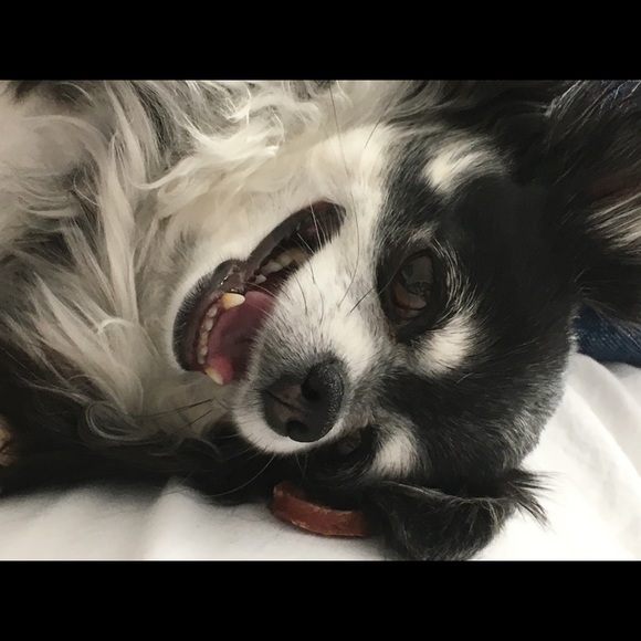 Meet your Posher, DeAnna - Picture 2 of 8